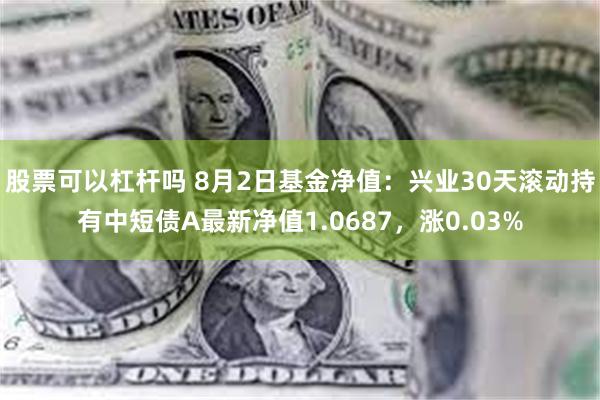 股票可以杠杆吗 8月2日基金净值：兴业30天滚动持有中短债A最新净值1.0687，涨0.03%