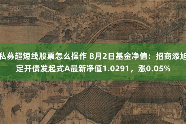 私募超短线股票怎么操作 8月2日基金净值：招商添旭定开债发起式A最新净值1.0291，涨0.05%