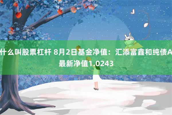 什么叫股票杠杆 8月2日基金净值：汇添富鑫和纯债A最新净值1.0243