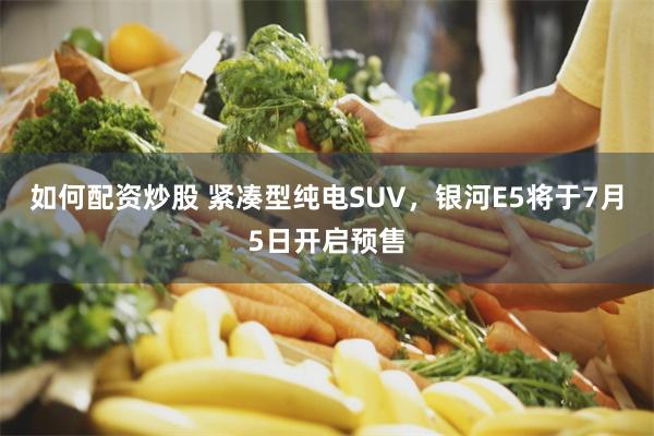 如何配资炒股 紧凑型纯电SUV，银河E5将于7月5日开启预售