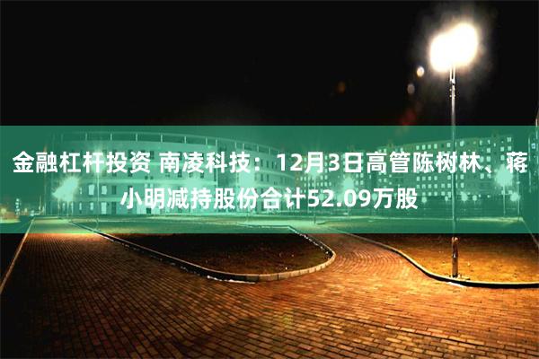 金融杠杆投资 南凌科技：12月3日高管陈树林、蒋小明减持股份合计52.09万股