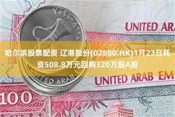 哈尔滨股票配资 辽港股份(02880.HK)1月23日耗资508.8万元回购320万股A股